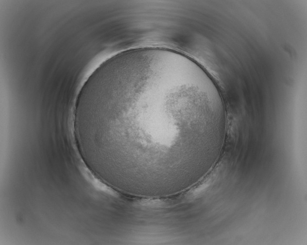 X0000111841094200907231403