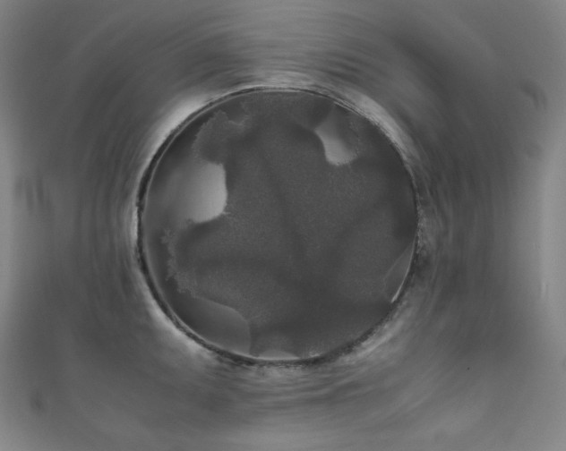 X0000111841095200907231403