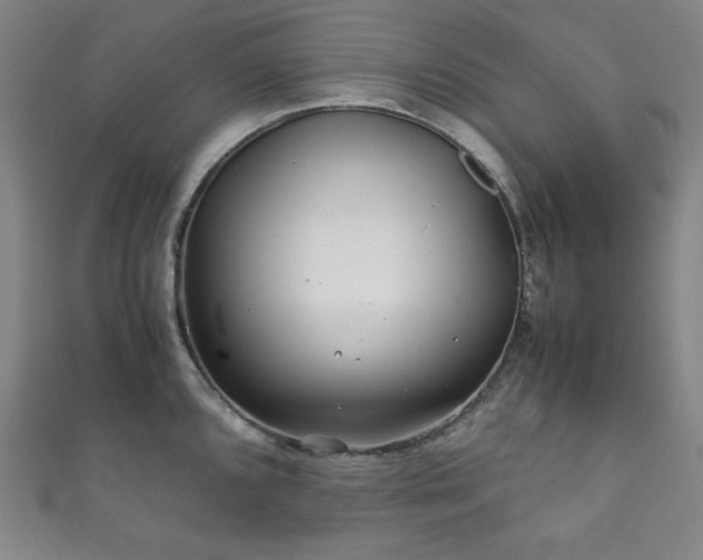 X0000111841096200907231403
