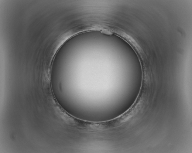 X0000111841097200907231403