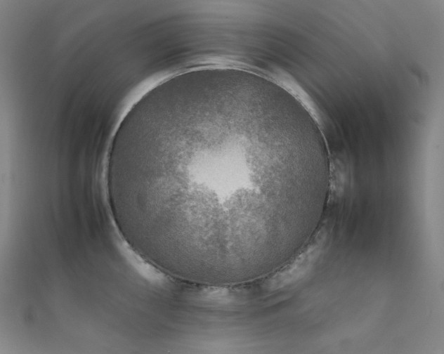 X0000111841098200907231403