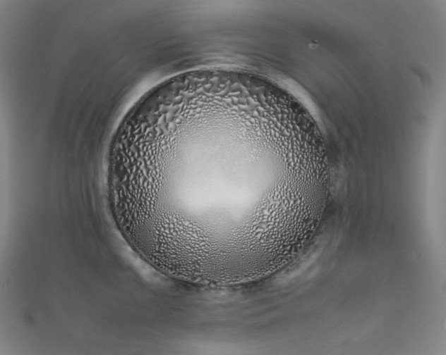 X0000111841099200907231403