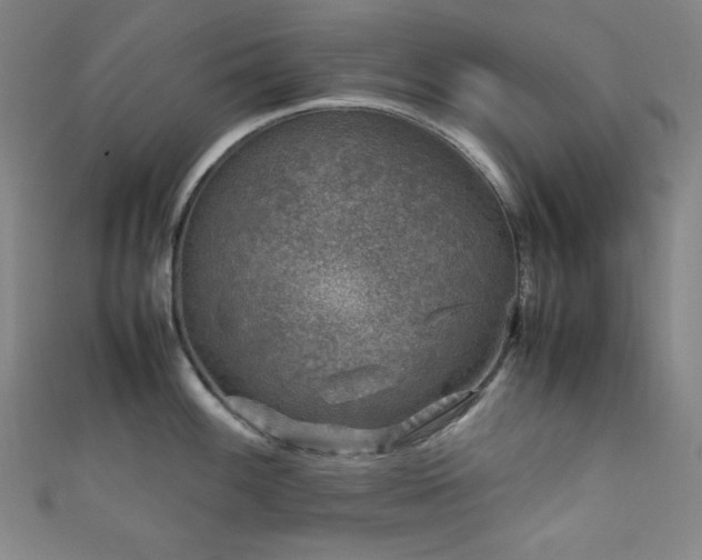 X0000111841100200907231403
