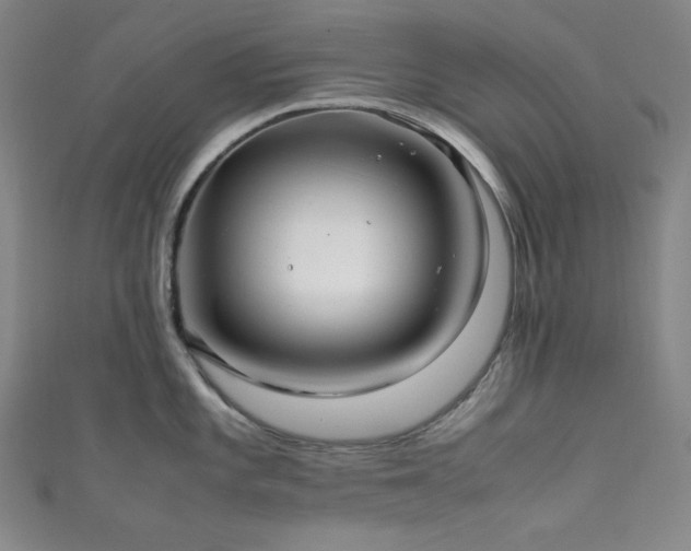 X0000111841101200907231403
