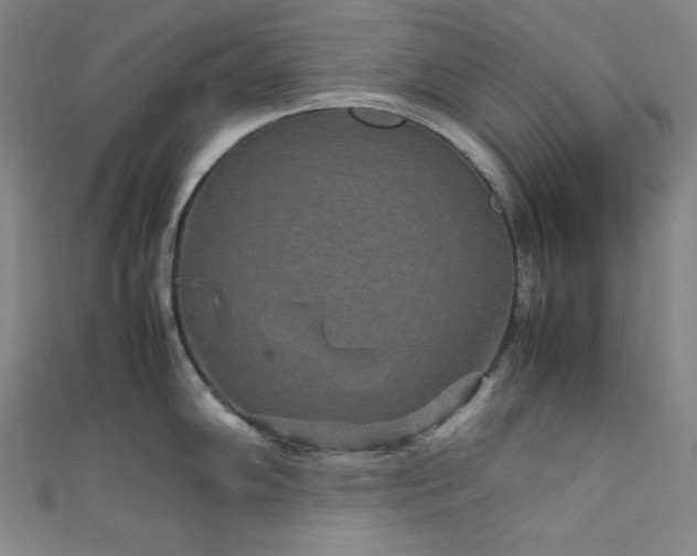 X0000111841102200907231403