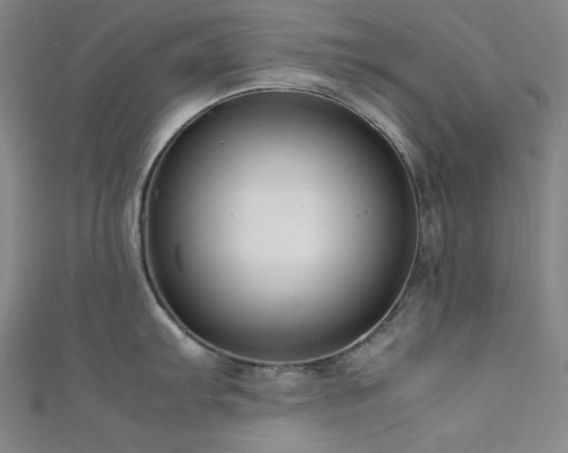 X0000111841103200907231403
