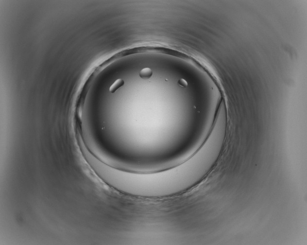X0000111841104200907231403