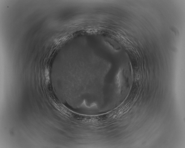 X0000111841106200907231402