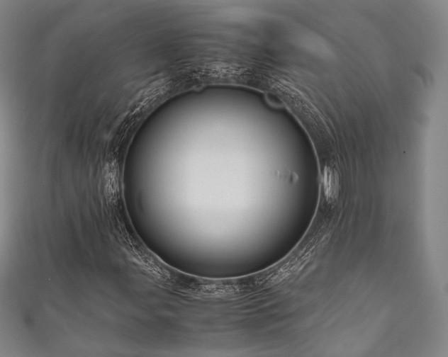 X0000111841107200907231402