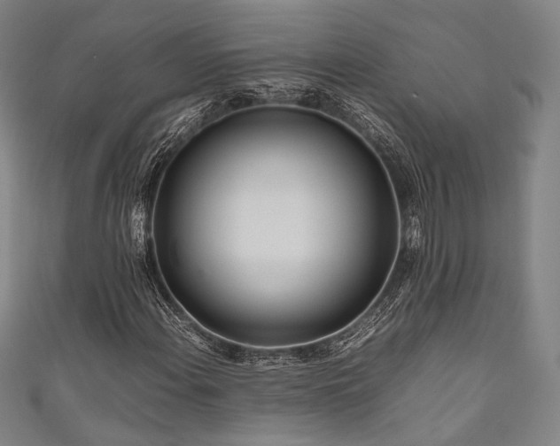 X0000111841108200907231402