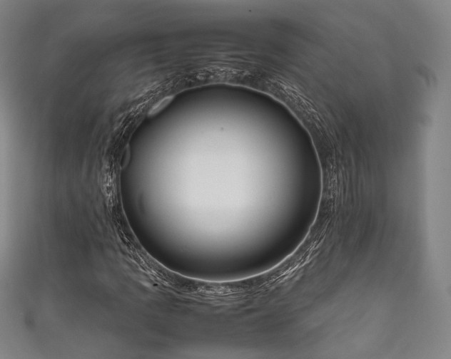 X0000111841109200907231402
