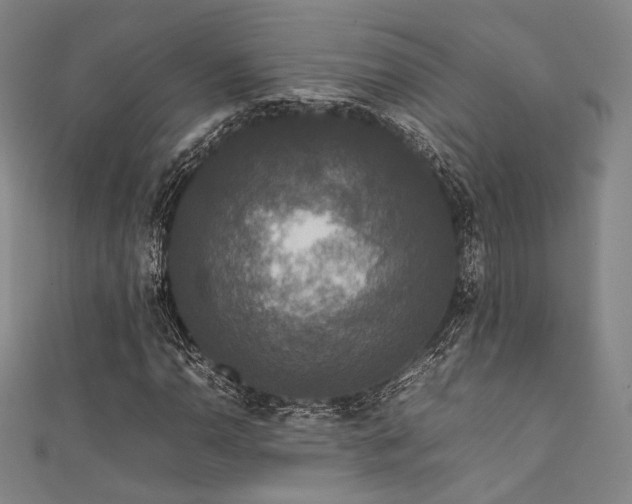X0000111841110200907231402