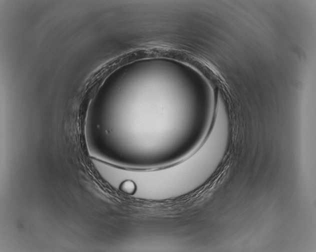 X0000111841112200907231402
