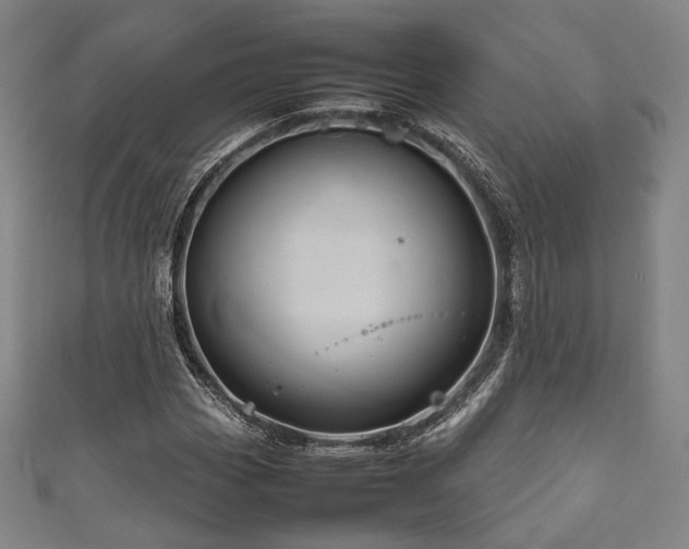 X0000111841113200907231402