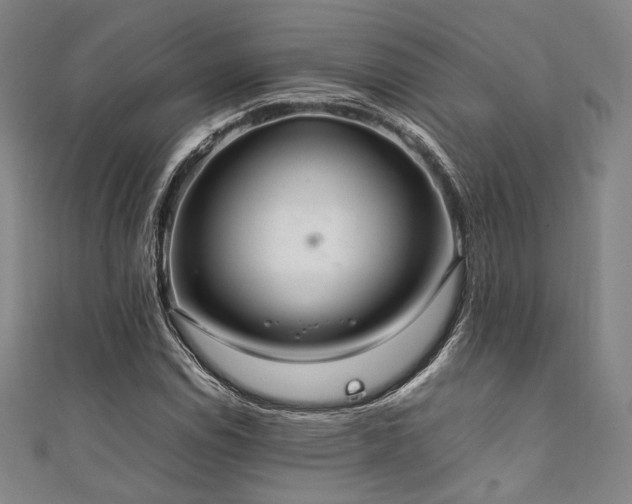 X0000111841114200907231402