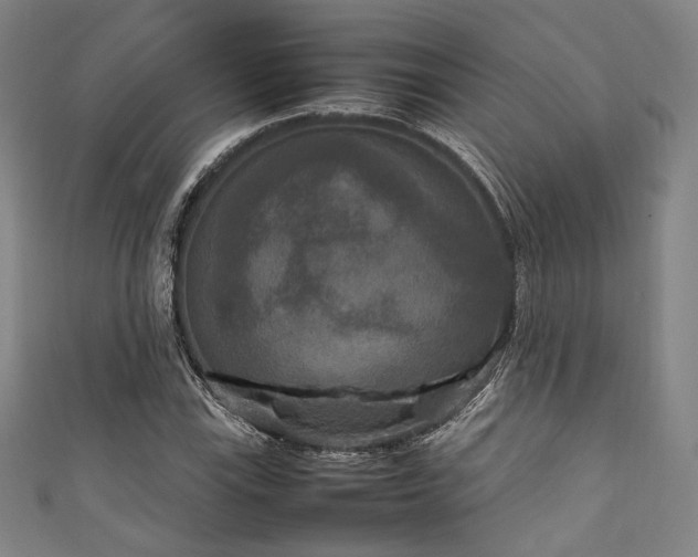 X0000111841115200907231402
