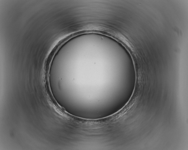 X0000111841116200907231402