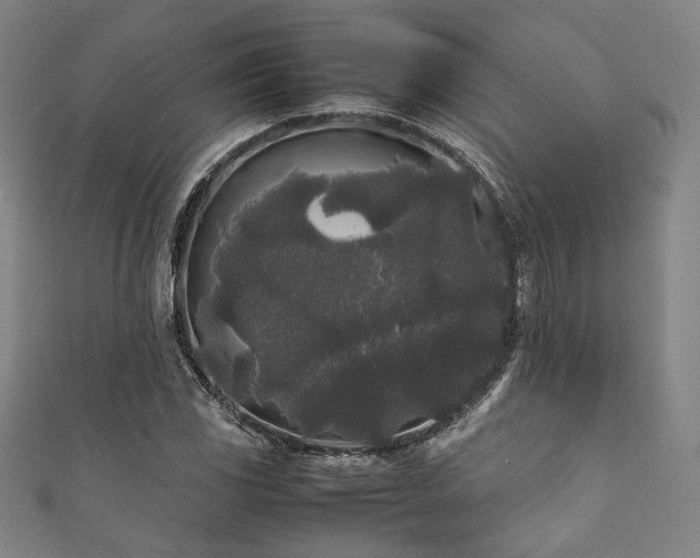 X0000111841117200907231402