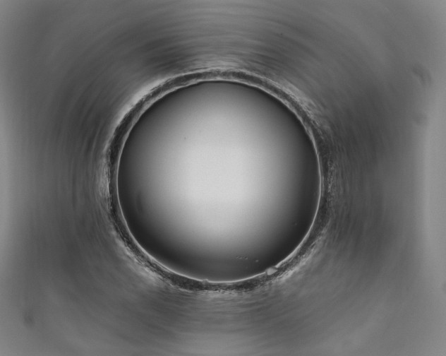 X0000111841118200907231402