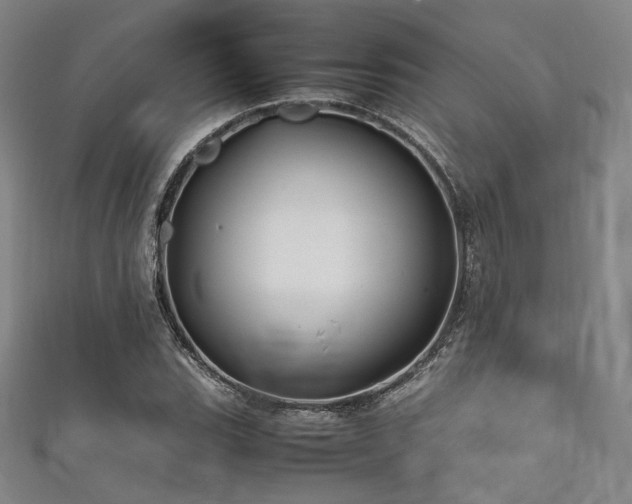X0000111841119200907231402