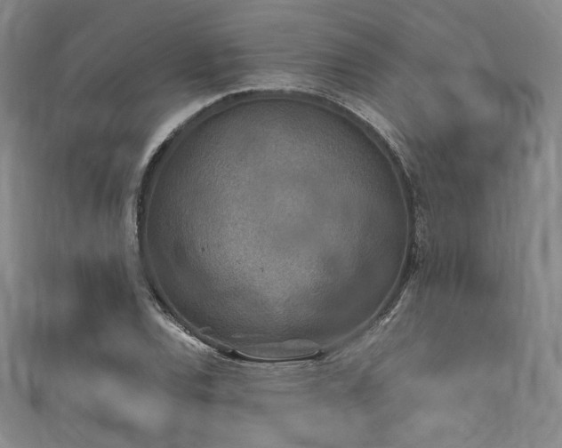 X0000111841120200907231402