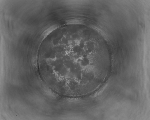 X0000111841121200907231402