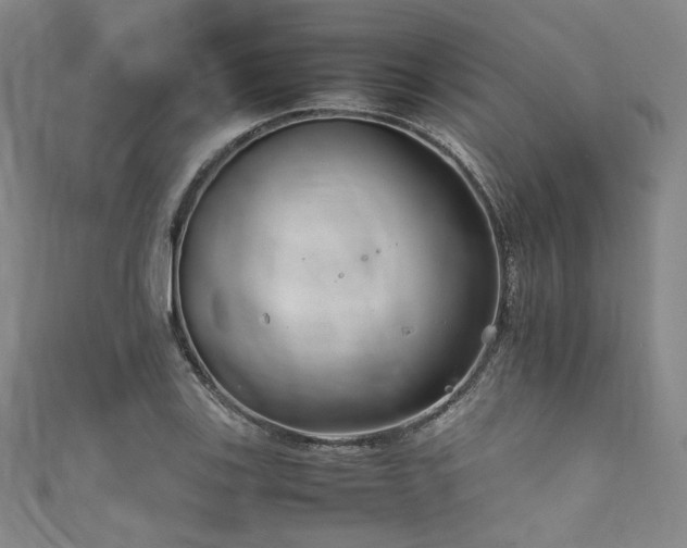 X0000111841123200907231402