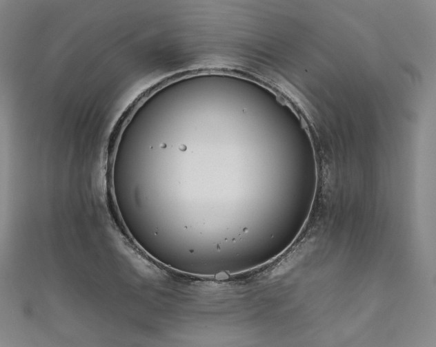 X0000111841124200907231402
