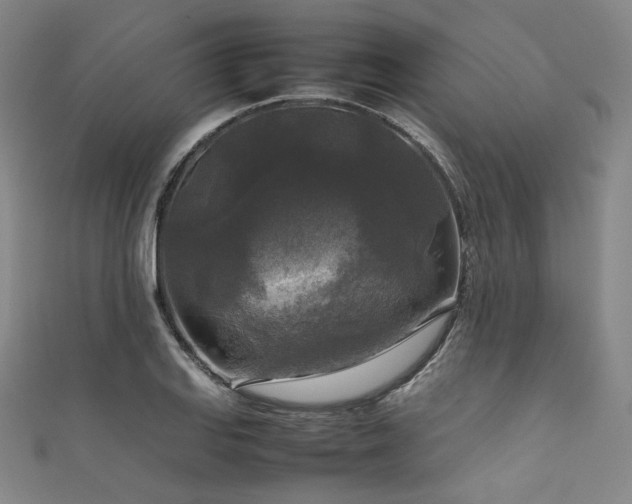 X0000111841127200907231402