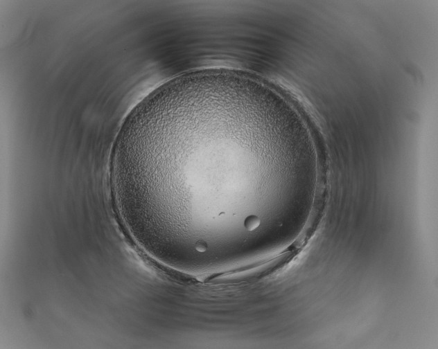 X0000111841129200907231402