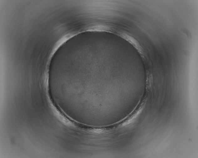 X0000111841130200907231402