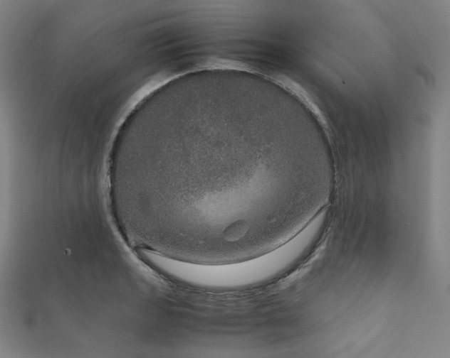 X0000111841133200907231402