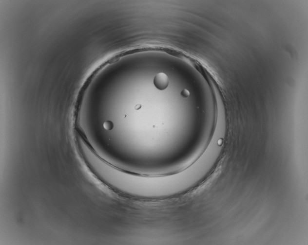 X0000111841134200907231402