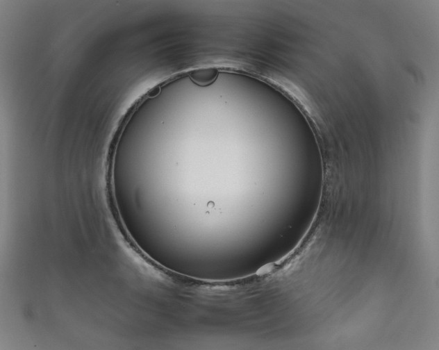 X0000111841135200907231402