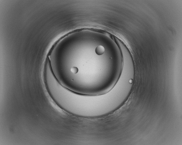 X0000111841136200907231402