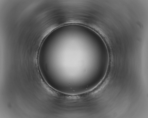 X0000111841137200907231402