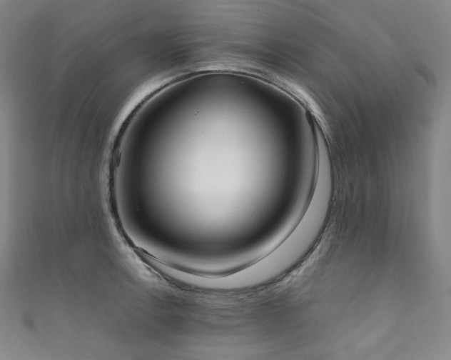 X0000111841138200907231402
