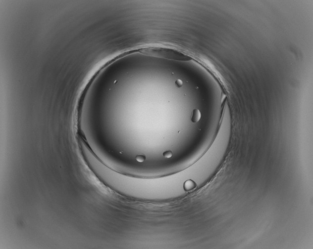 X0000111841140200907231402