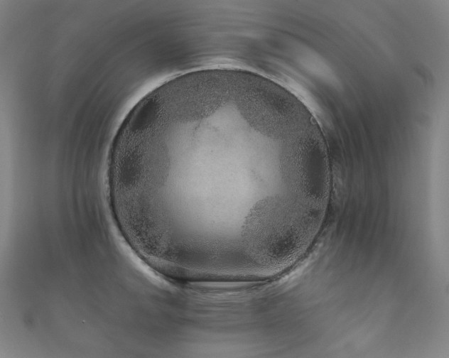 X0000111841142200907231402