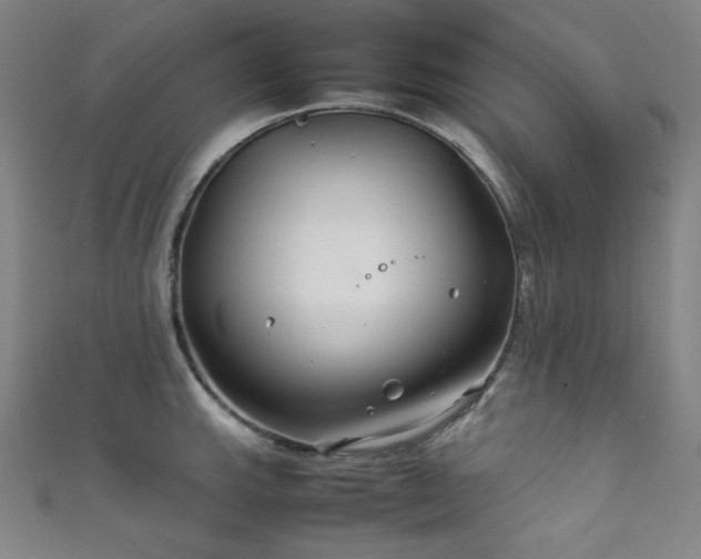 X0000111841143200907231402
