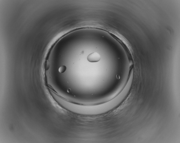 X0000111841144200907231402