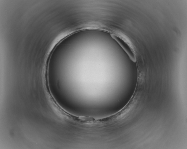 X0000111841146200907231403