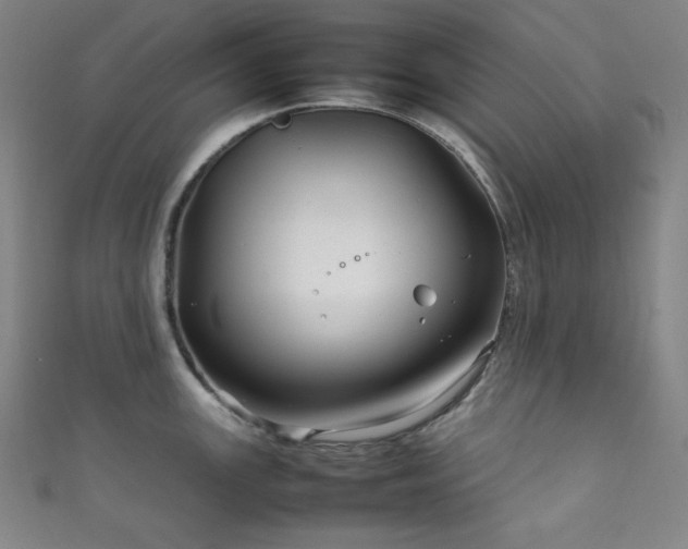 X0000111841147200907231403
