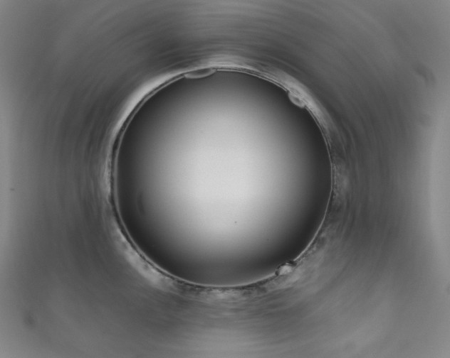 X0000111841148200907231403