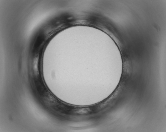 X0000111841150200907231403