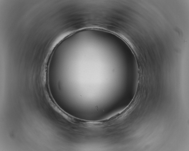 X0000111841151200907231403