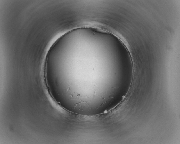 X0000111841152200907231403