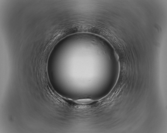 X0000111841153200907231402