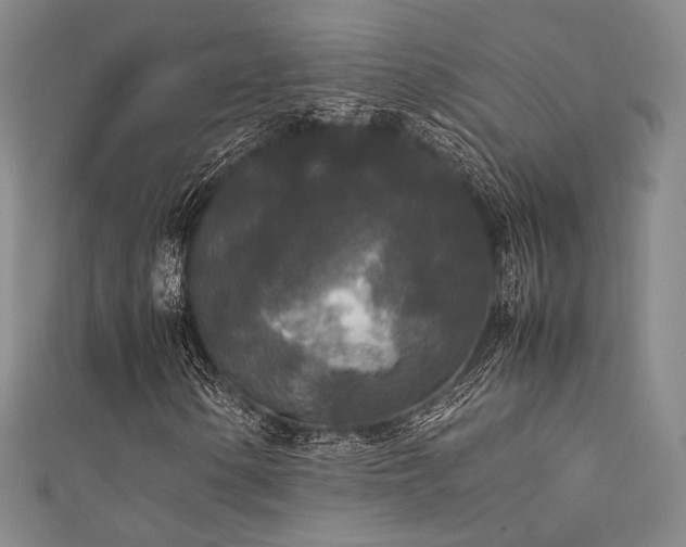 X0000111841154200907231402