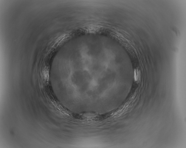 X0000111841155200907231402